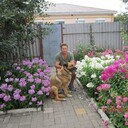 ���������� ��������, ���� ������� �������, 40 ���, ������������ 