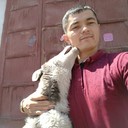 ���������� ������, ���� ������� Doni, 35 ���, ������������ ��� ������, ����� � ���������, c�������� ���������, ���������