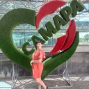  ,   , 36 ,   ,   , c , 