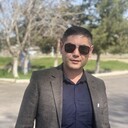  ,   Wolf, 41 ,   ,   , 