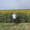 ���������� ����������, ���� ������� ���, 33 ����, ������������ ��� ������, ����� � ���������