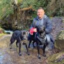  ,   , 39 ,   ,   , c , 