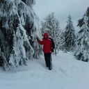 ���������� ��������, ���� ������� ��������, 61 ���, ������������ ��� c�������� ���������