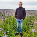 ���������� ���������, ���� ������� �������, 31 ���, ������������ ��� ������, ����� � ���������