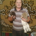 ���������� �������, ���� ������� Misa, 44 ����, ������������ ��� ������