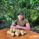 ���������� ������, ���� ������� �����, 42 ����, ������������ ��� c�������� ���������