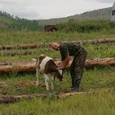 ���������� ���������, ���� ������� ��������, 56 ���, ������������ ��� ������, ����� � ���������, c�������� ���������