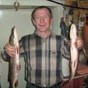   ,   Vik, 66 ,   ,   , c , 
