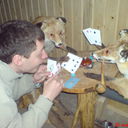 ���������� ��������������, ���� ������� ����, 41 ���, ������������ ��� ������