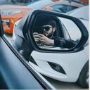 ���������� ������, ���� ����� ����, 25 ���, ������������ ��� ������, ����� � ���������