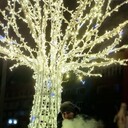 ���������� �������, ���� ������� ������, 39 ���, ������������ ��� ������, ����� � ���������