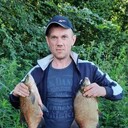 ���������� �����, ���� ������� �������, 44 ����, ������������ ��� ����� � ���������, c�������� ���������