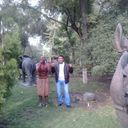 ���������� ������, ���� ������� �����, 42 ����, ������������ ��� ���������