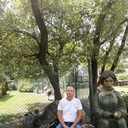  ,   , 44 ,   