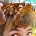 ���������� ������, ���� ������� ��������, 36 ���, ������������ ��� ������, ����� � ���������, c�������� ���������