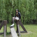  ,   , 43 ,  