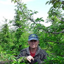 ���������� ���������, ���� ������� ���������, 50 ���, ������������ ��� ������, ����� � ���������, c�������� ���������, ���������