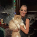 ���������� ���������, ���� ������� ��������, 66 ���, ������������ ��� ����� � ���������, c�������� ���������