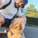 ���������� �����-���������, ���� ������� ������, 35 ���, ������������ ��� ������, ����� � ���������