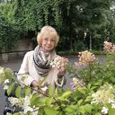 ���������� �����-���������, ���� ������� ��������, 65 ���, ������������ ��� c�������� ���������, ���������