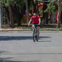 ���������� ��������������, ���� ������� �����, 33 ����, ������������ ��� ������, ����� � ���������