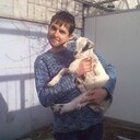 ���������� �����������, ���� ������� ������, 44 ����, ������������ ��� ������, ����� � ���������, c�������� ���������