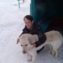 ���������� ��������, ���� ������� ��� �������, 40 ���, ������������ ��� ������, ����� � ���������