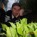 ���������� ����, ���� ������� ���, 47 ���, ������������ ��� ������