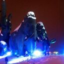 ���������� �����-��������, ���� ������� Roman, 36 ���, ������������ ��� ������, ����� � ���������, c�������� ���������