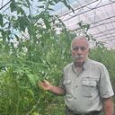 ���������� �������, ���� ������� �������, 61 ���, ������������ ��� c�������� ���������