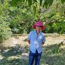 ���������� �����������, ���� ������� ������, 49 ���, ������������ ��� ����� � ���������, c�������� ���������