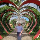 ���������� �����������, ���� ������� �����, 58 ���, ������������ ��� c�������� ���������