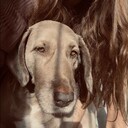  -,   Anastasia, 37 ,   ,   , c 