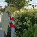  ,   , 56 ,     , c 