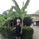 ,   , 58 ,   ,   , c 