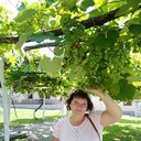 ���������� �����, ���� ������� ����, 51 ���, ������������ 