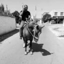  ,   Bekjon, 34 ,   ,   