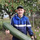  ,   , 41 ,   ,   , c , 