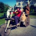 ���������� ������, ���� ����� �����, 25 ���, ������������ ��� ������, ����� � ���������