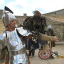 ���������� ������, ���� ������� �������, 50 ���, ������������ ��� ����� � ���������, c�������� ���������