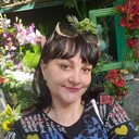 ���������� ������, ���� ������� ���������, 41 ���, ������������ ��� ������, ����� � ���������, c�������� ���������