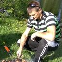  ,   , 31 ,     , c , 