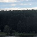 ���������� ������������, ���� ������� �������, 42 ����, ������������ ��� c�������� ���������