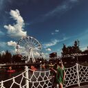  -,   , 31 ,   ,   , c , 