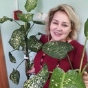 ���������� �����-���������, ���� ������� ����, 66 ���, ������������ ��� ������, ����� � ���������, c�������� ���������