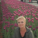  ,   , 55 ,   ,   