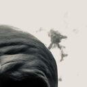 ���������� ������, ���� ������� ������, 41 ���, ������������ ��� ������, ����� � ���������, c�������� ���������, ���������