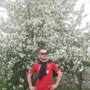  -,   , 43 ,   