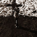 ���������� ������, ���� ������� ����, 29 ���, ������������ ��� ������, ����� � ���������, c�������� ���������