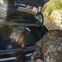 ���������� �������, ���� ������� ���������, 38 ���, ������������ ��� ������, ����� � ���������